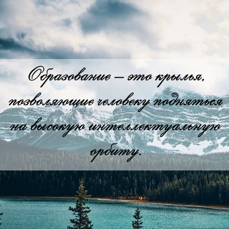 цитата об образовании и контрольной